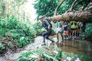 BIB: 
                            <button type="button" onclick="openModal(25473791)" class="btn btn-primary btn-sm float-right btn-popup" data-toggle="modal" data-target=".modal-high-quality">
                        <i class="fas fa-shopping-cart"></i> Add to Cart
                    </button>
                                            <button type="button" onclick="isThisMe(25473791, true)" class="btn btn-success btn-sm float-right btn-popup btn-isme hidden" data-toggle="tooltip" data-placement="bottom" title="นี่คือรูปของคุณใช่ไหม คลิกที่นี่เพื่อเอาเข้าอัลบั้ม">
                        <i class="fas fa-plus"></i> Add to album
                    </button>
                    <button type="button" onclick="isThisMe(25473791, false)" class="btn btn-warning btn-sm float-right btn-popup btn-isnotme hidden">
                        <i class="fas fa-ban"></i> Remove from album
                    </button>